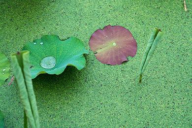 《街头霸王6》公测网络对战大厅能玩《快打旋风》